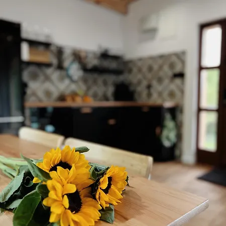 Rogaty Nad Zalewem 펜션